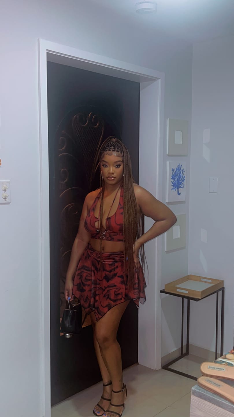 Customer photo review of Beyoncé Knotless Braid Wig (Ready To Ship) Full Lace, Glueless