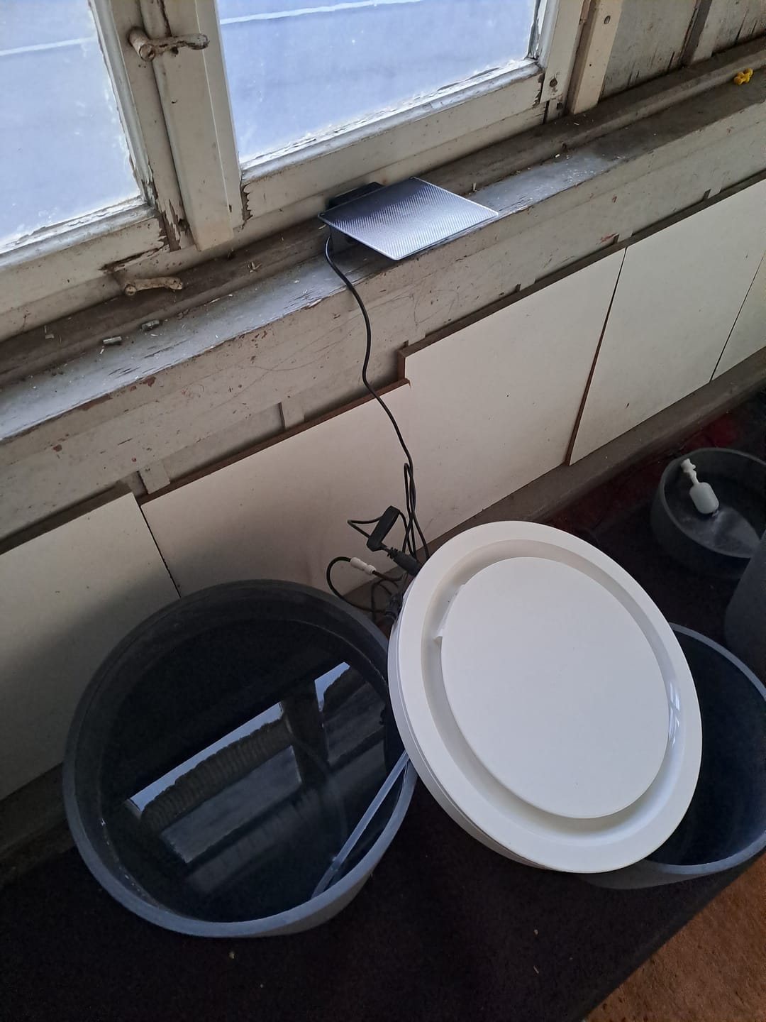 Customer photo review of Boum Wassertank 35L