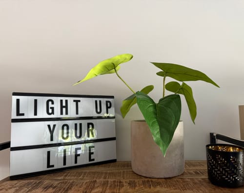 Customer photo review of Anthurium Kunstplant 30cm