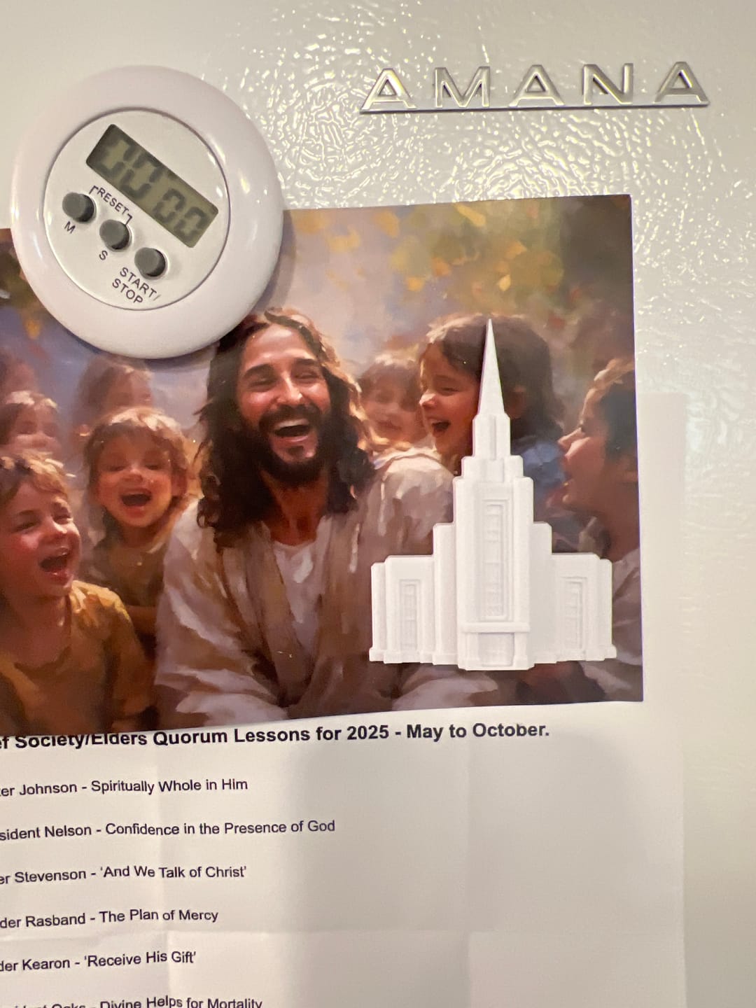 Customer photo review of 10 Temple Magnets - Gift Ready