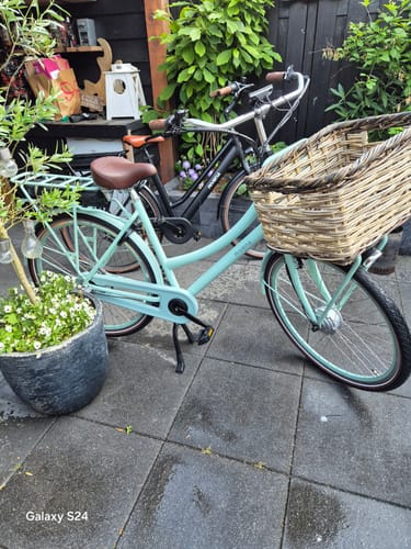 Customer photo review of E-Cargo N3