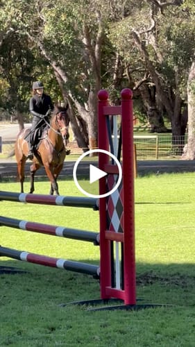 Customer video review of NEW Ladies & Teen Maeve Black on Black Equestrian Tights