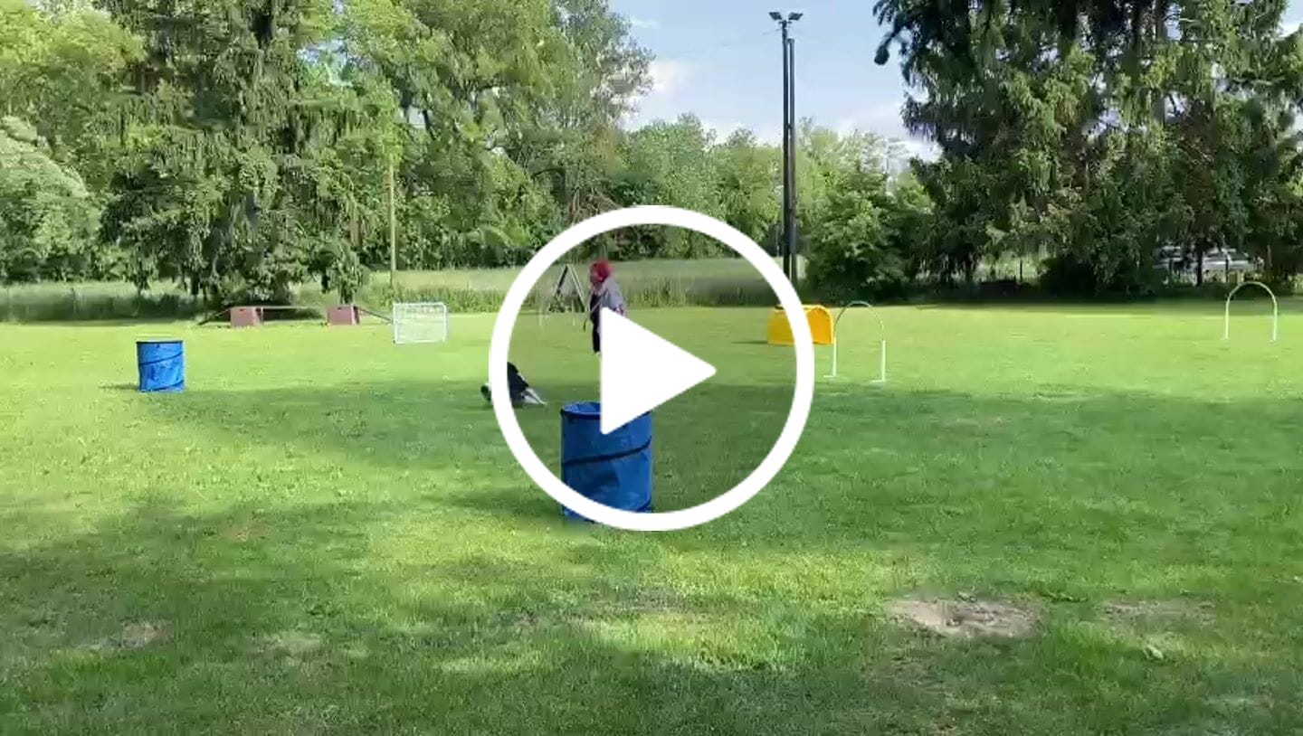 Customer video review of Sweatjacke mit Strickarm