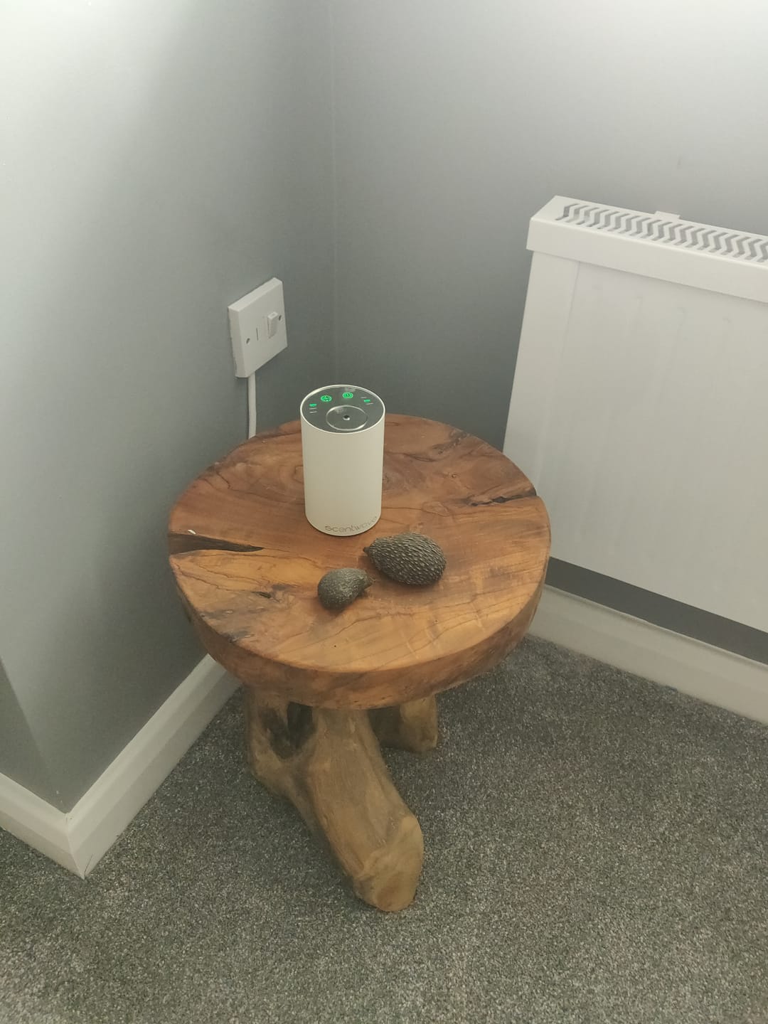 Customer photo review of Scentwave™ Diffuser