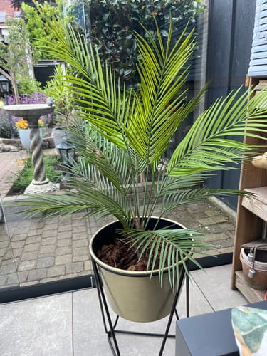 Customer photo review of 10 liter Frans Boomschors