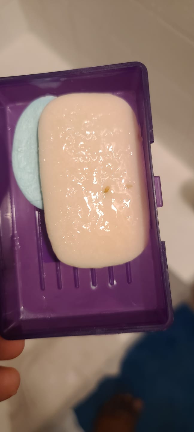 Customer photo review of SEAMOSS PEACH MANGO SOAP