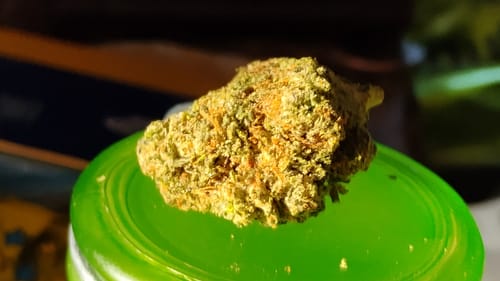 Customer photo review of Strawberry Cough THCA Flower