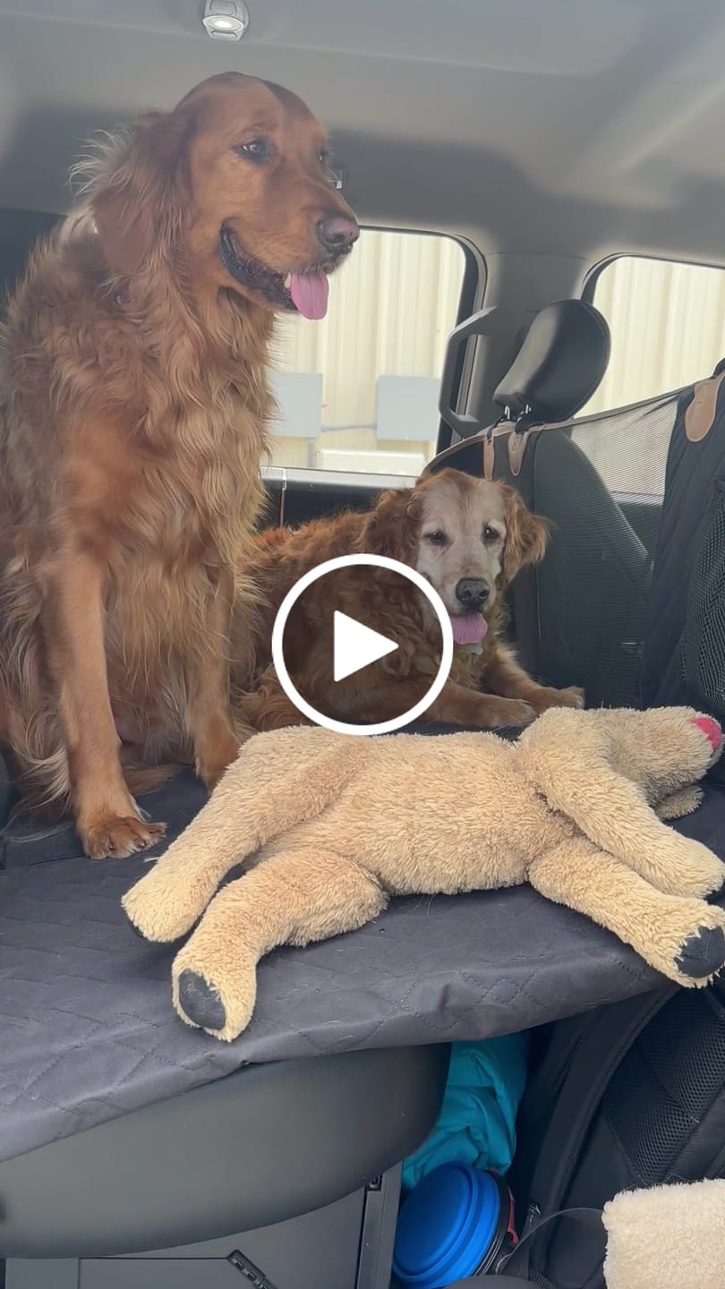 Customer video review of FurGuard™: Hard Bottom Extender