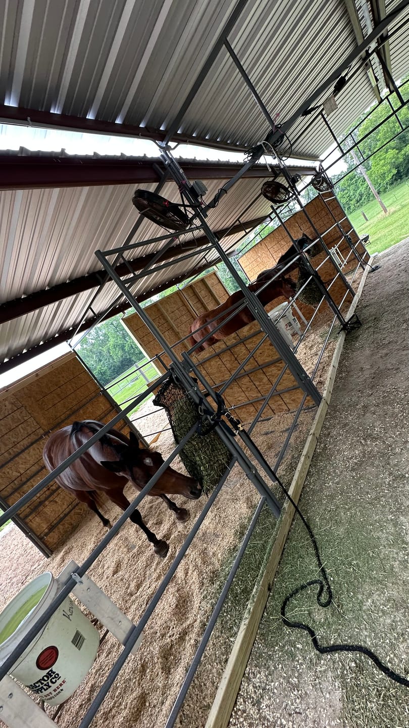 Customer photo review of Mare Motel with (6) 12x24 Stalls and 12ft Breezeway 4-Rail
