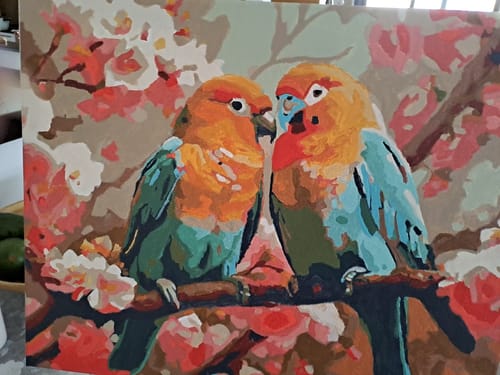 Customer photo review of צביעה לפי מספרים - PBN0614