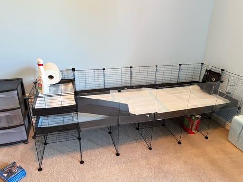 Customer photo review of 6x2 C&C Cage with Loft & Stand