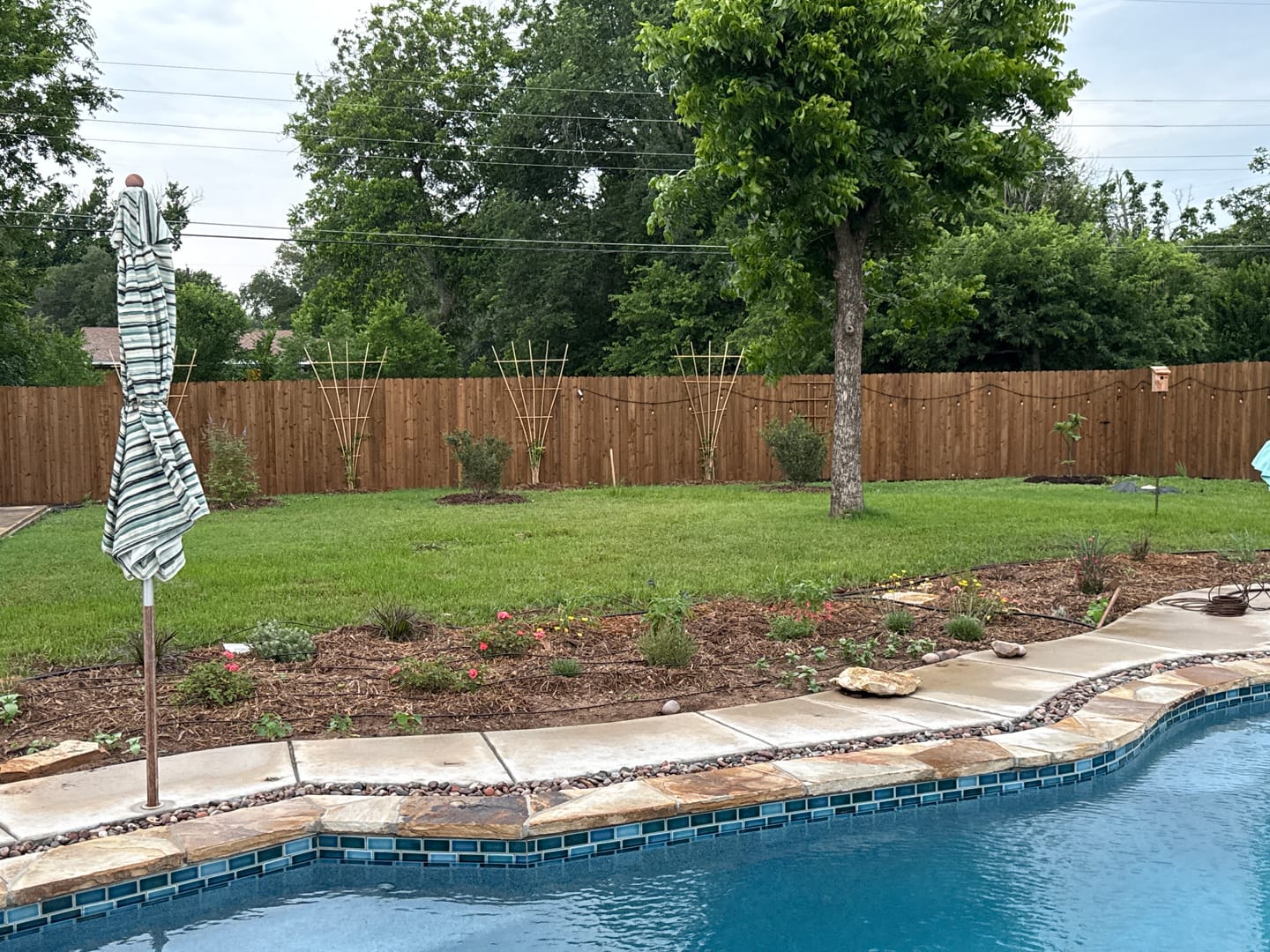 Customer photo review of The All-Day Treadlite Broadfork | 20" wide | 4 tines