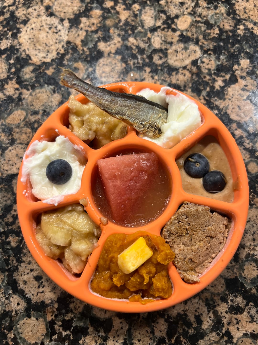 Customer photo review of FreezWheel - Durable Interactive Chew