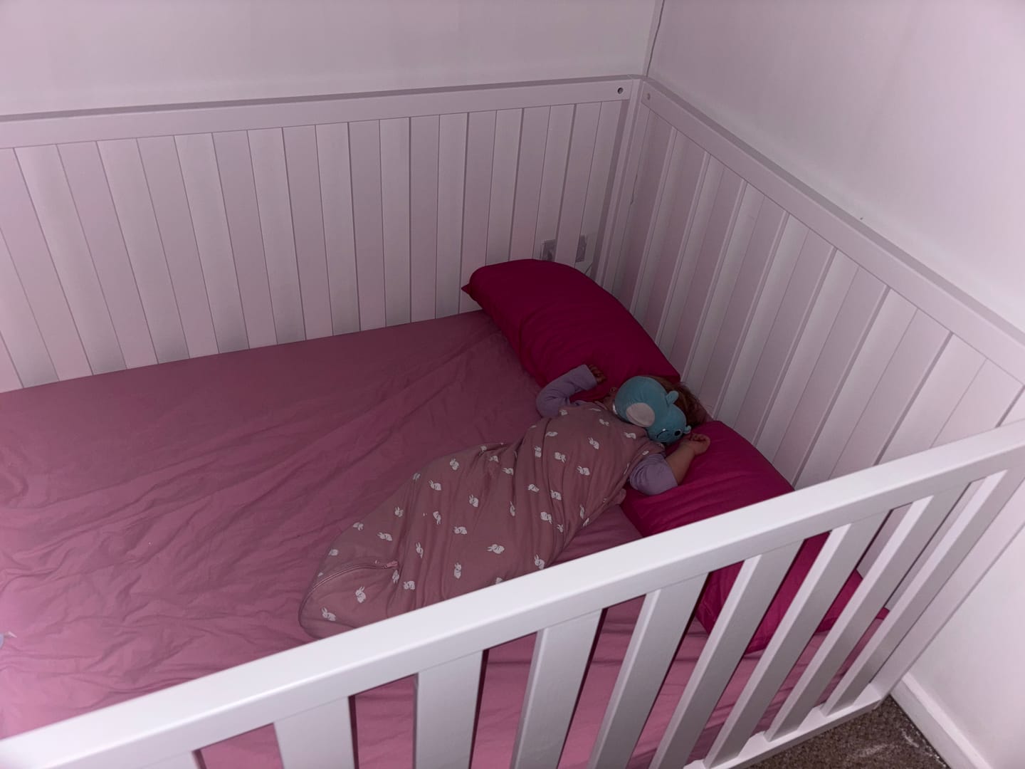 Customer photo review of High Sided Toddler Floor Bed