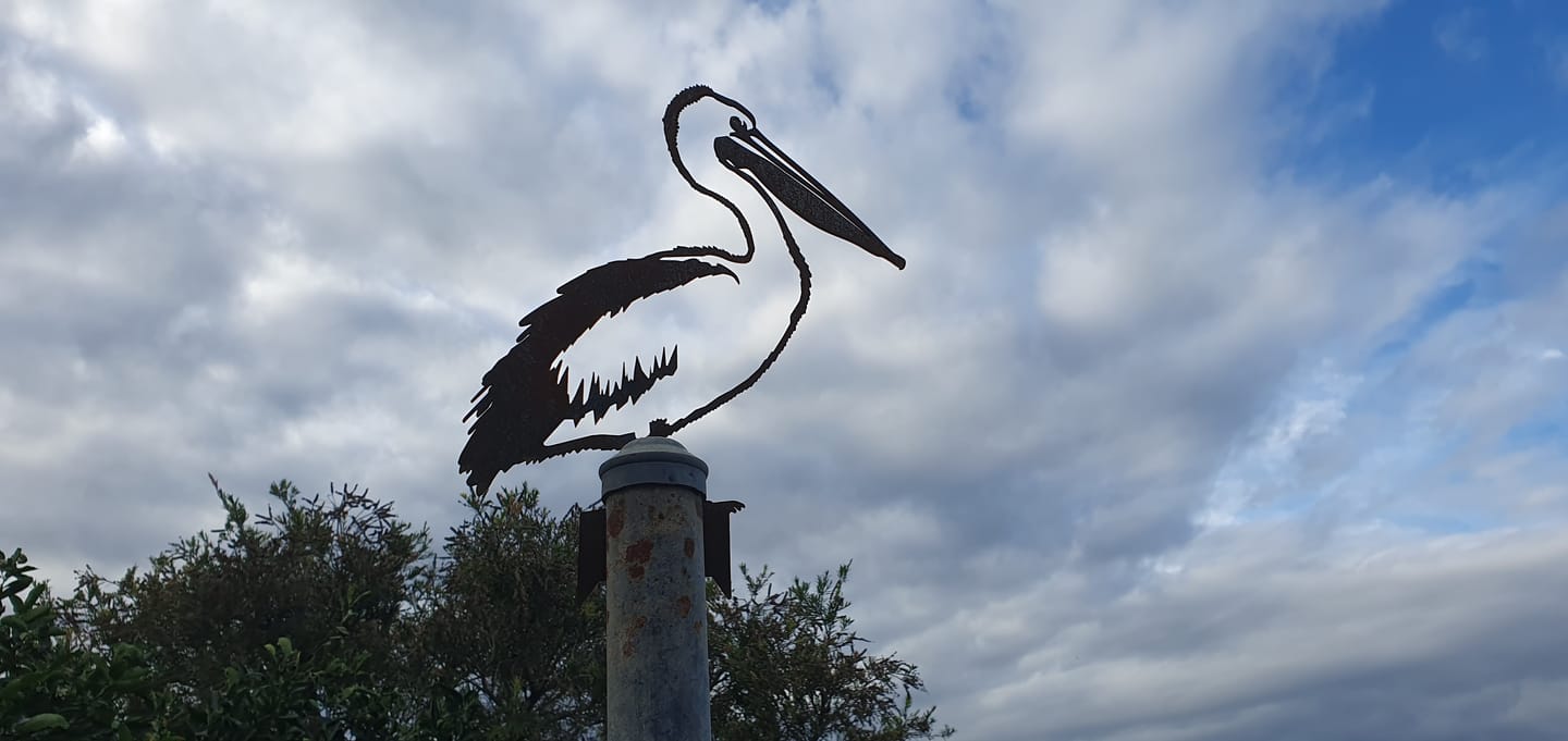 Customer photo review of Pelican