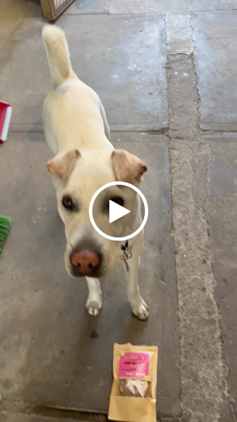 Customer video review of Lomo de cerdo