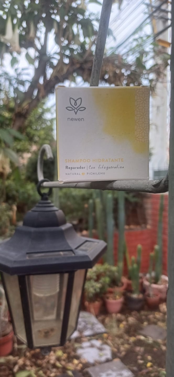 Customer photo review of Shampoo Solido hidratante, cuero cabelludo sensible