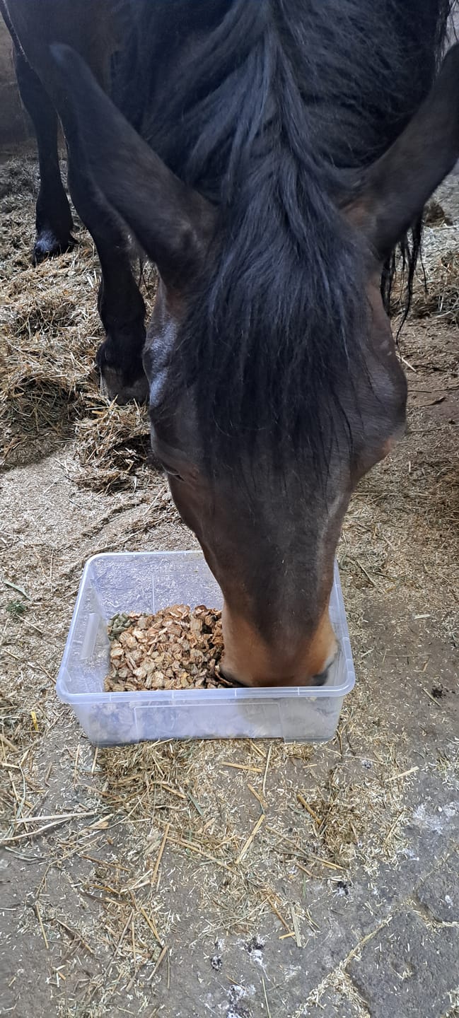 Customer photo review of Karotten Chips