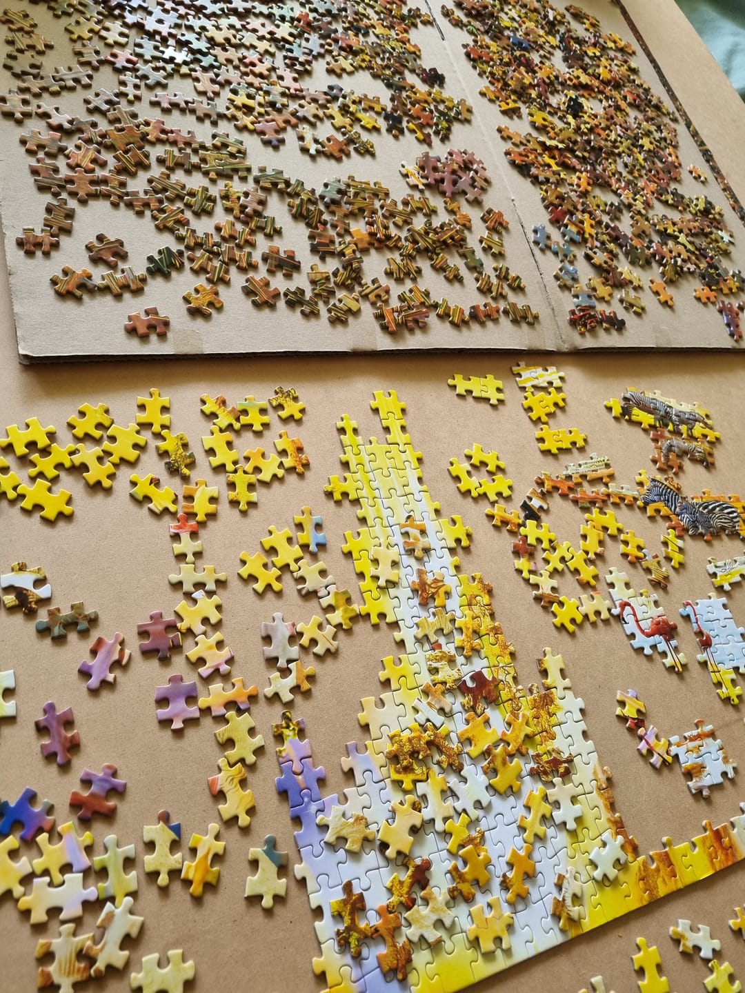Customer photo review of Puzzle 3000 Piezas - Africa Safari
