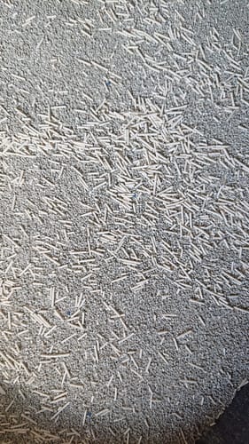 Customer photo review of Naturreines Katzenstreu