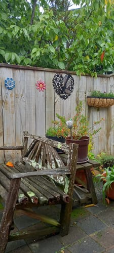Customer photo review of Fantail Heart Wall Décor