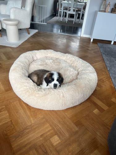 Customer photo review of CalmBed - Motverkar stress & hjälper mot ångest