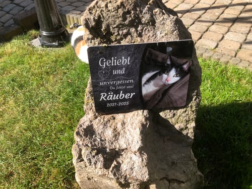 Customer photo review of Katzen Gedenktafel mit Foto & Spruch (UV- & Wetterfest)