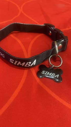 Customer photo review of Placa: Liso