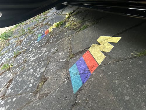 Customer photo review of BMW LED DOOR LIGHTS