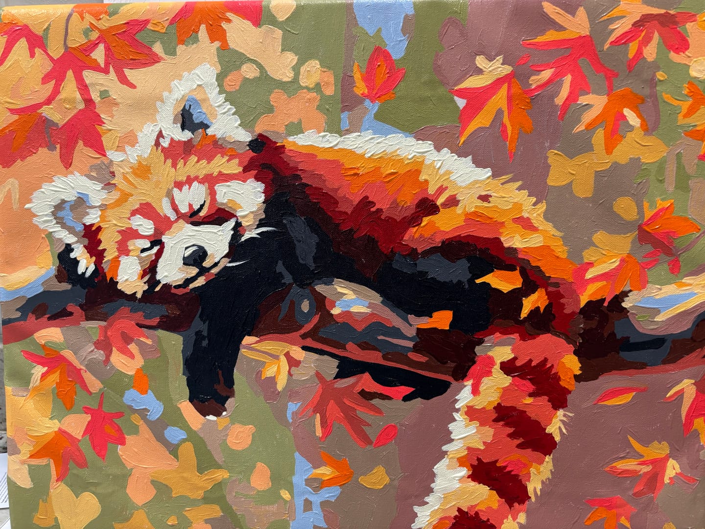 Customer photo review of Relaxed Red Panda