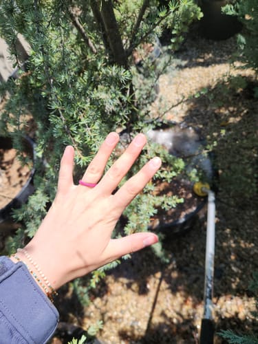 Customer photo review of GIFT RING Women's Infinity Silicone Stackable Rings. Stylish Design, Comfortable & Durable Wedding Band