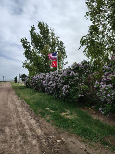 Customer photo review of United States Marines Flag / Marine Corps Flag