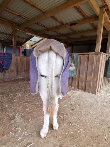 Customer photo review of LE Wipe-Clean Tailcord