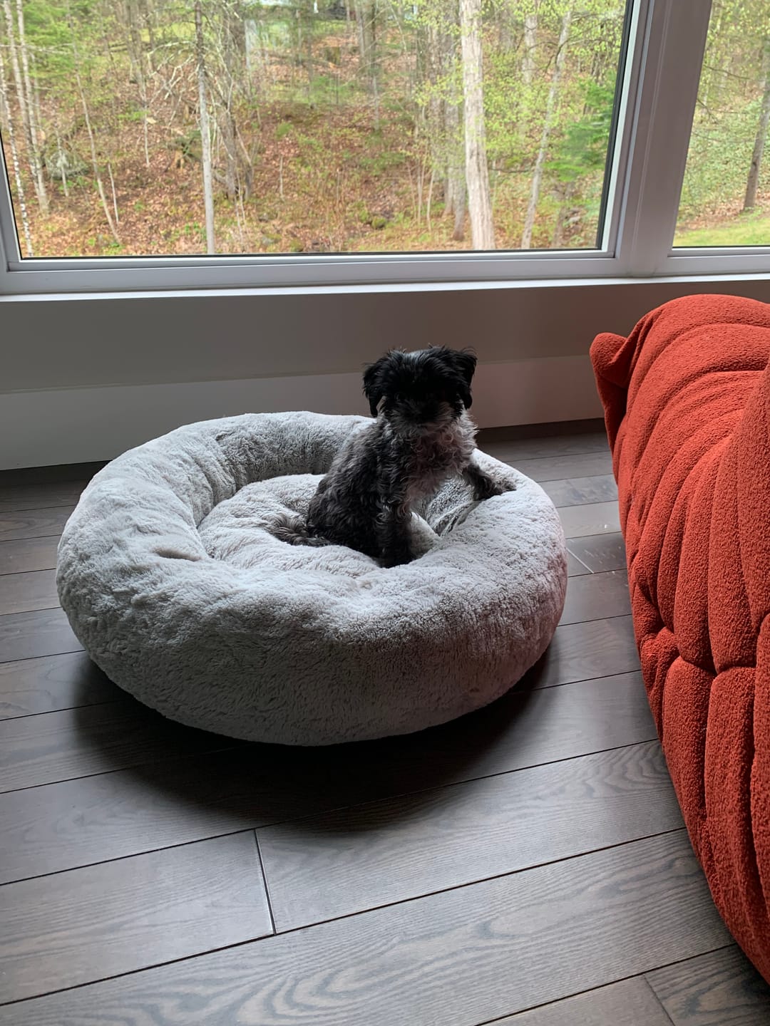 Customer photo review of Vrac Nature's Own - Batonnets oesophage de boeuf pour chien
