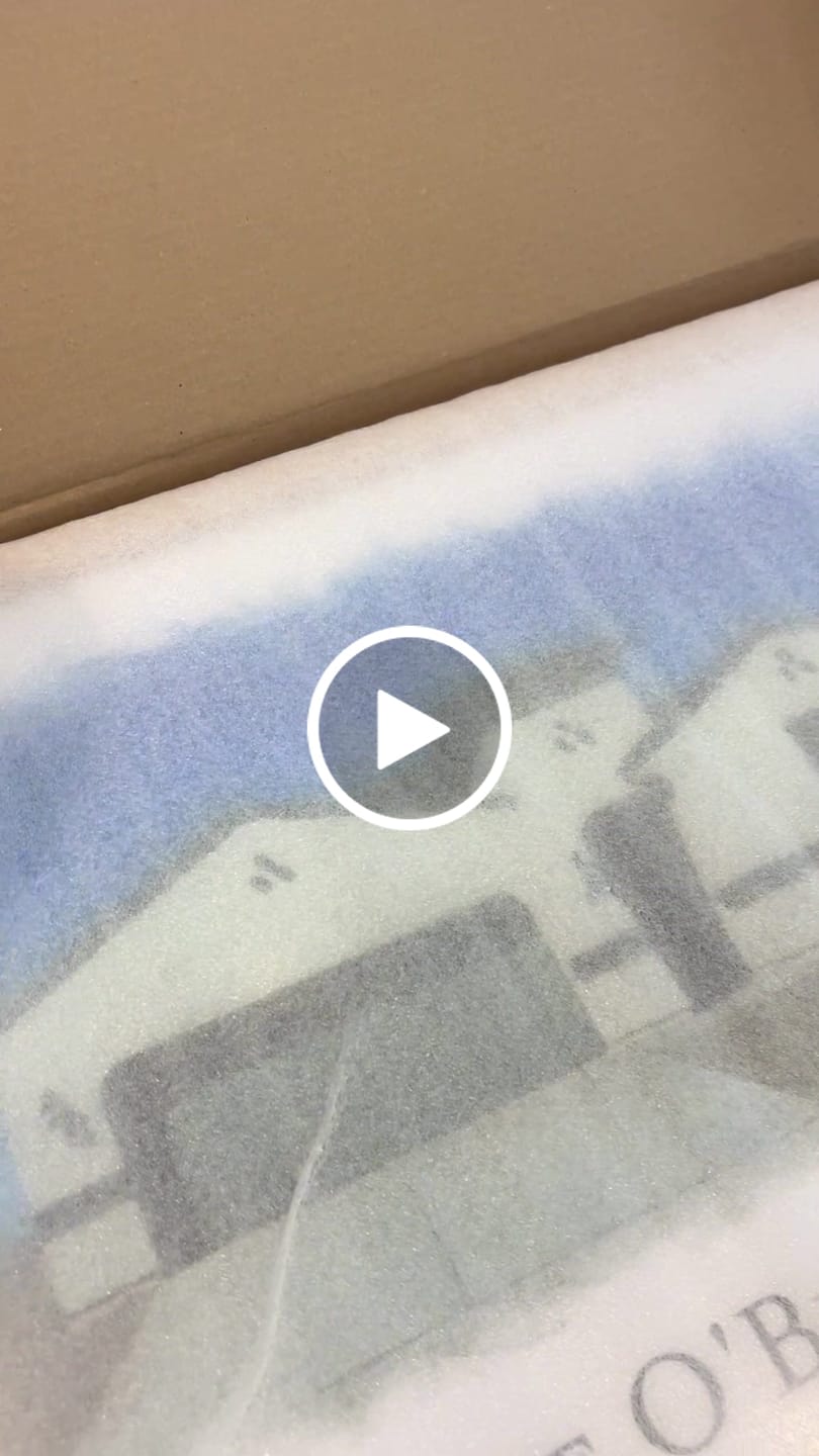 Customer video review of Custom House Portrait