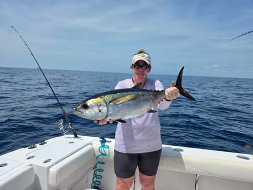 Customer photo review of Shimano Talica 16IIA