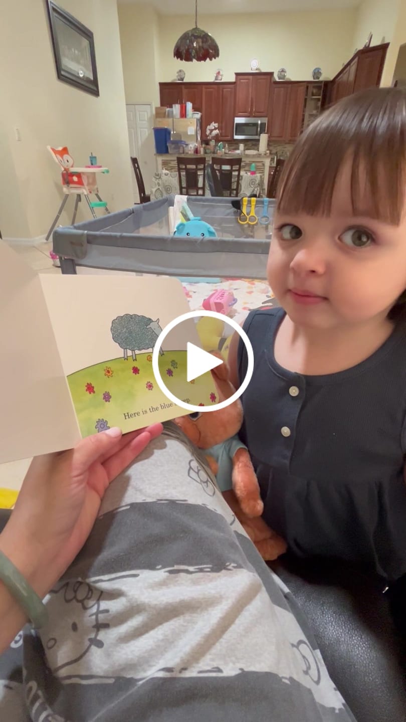 Customer video review of Little Book League Box
