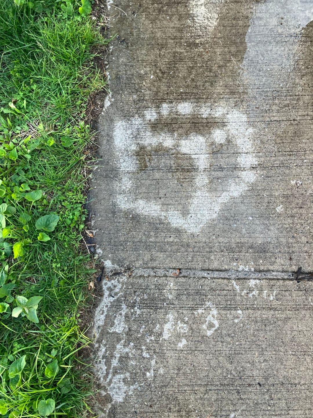 Customer photo review of Invisible Spray 2.0 Starter Kit (10-15 sq ft)
