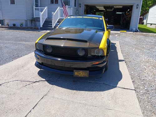 Customer photo review of Black & Yellow Universal Metal License Plate