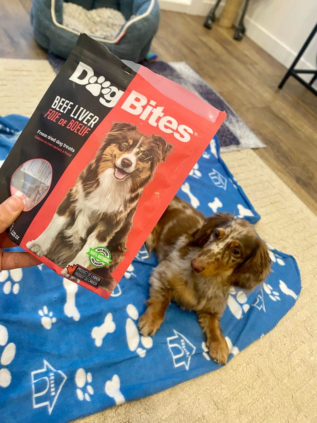 Customer photo review of Dog Bites - Récompenses pour chien