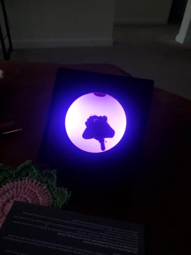 Customer photo review of Ferrofluid Speaker Sound Visualizer with Colorful Lights (Not a Speaker, No Sound) Perfect Gift