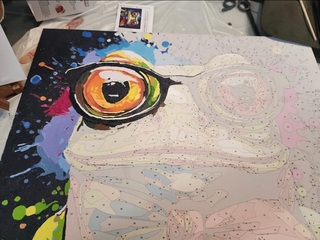 Customer photo review of Mr. Frog