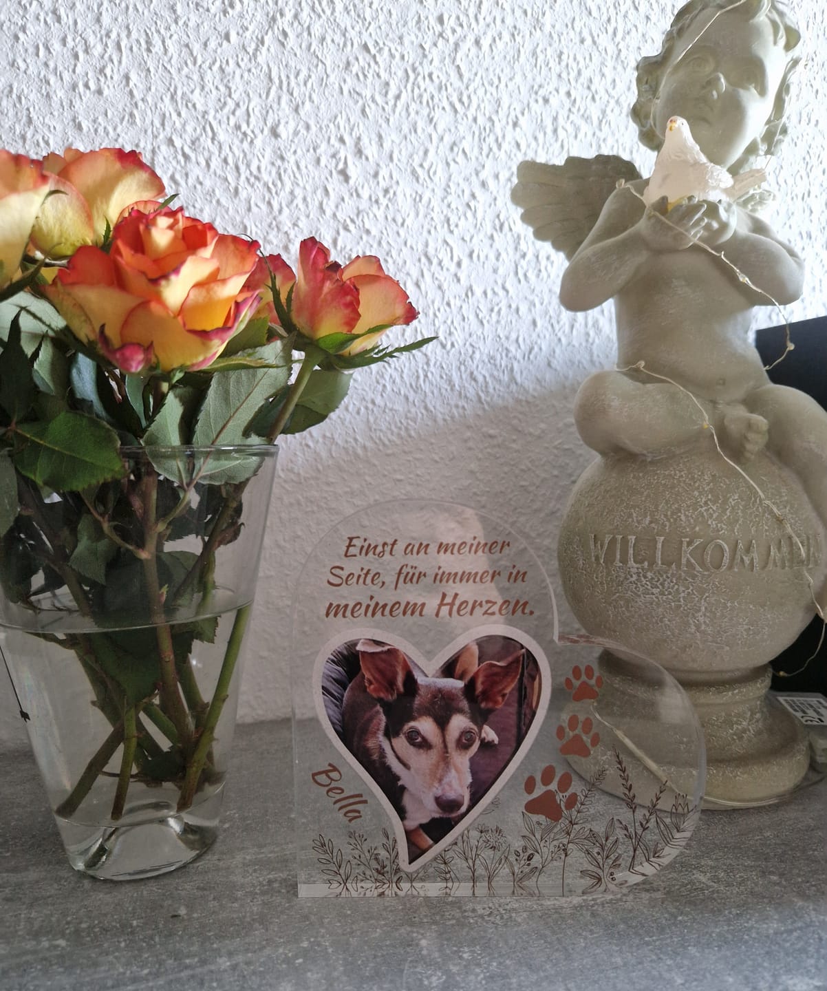 Customer photo review of Einst an meiner Seite - Individuelles Glasherz