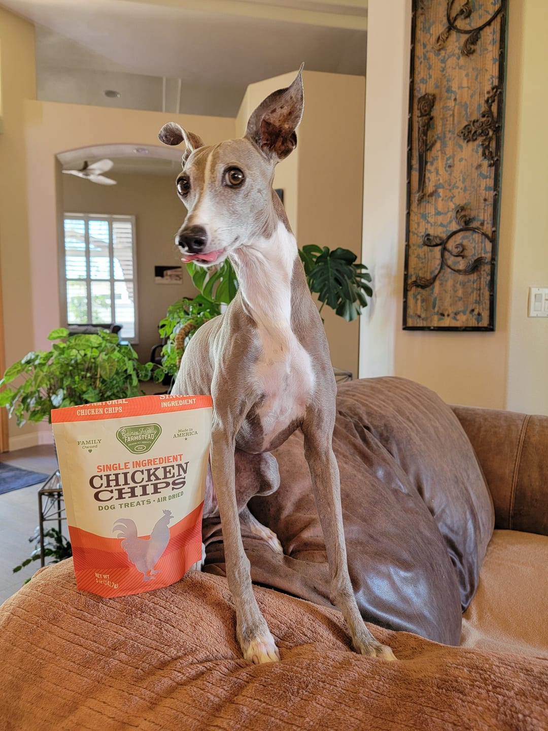 Customer photo review of Chicken Chips