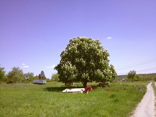 Customer photo review of NUVINT - Digitalkamera