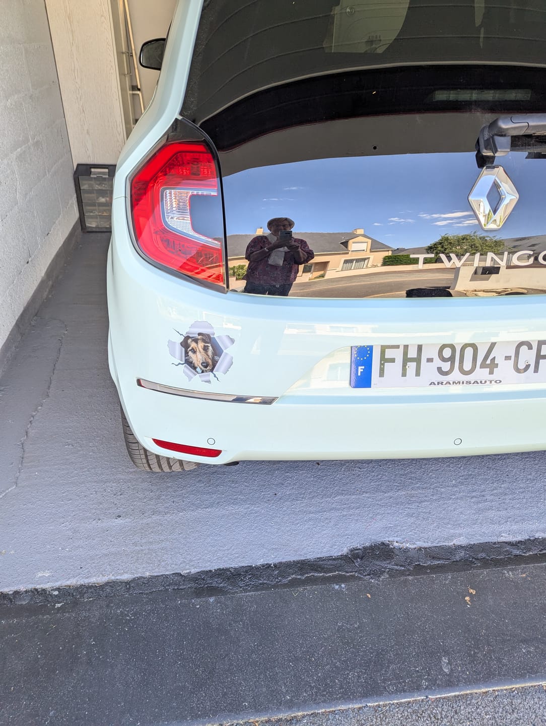Customer photo review of Photo animal curieux - Autocollant pour voiture personnalisé