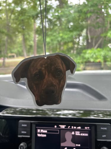undefined review of Custom Air Freshener image 1 out of 1
