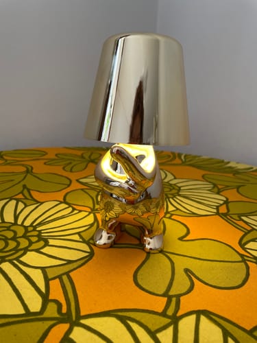 Customer photo review of Bordslampa batteri - Thinkerlamp guld