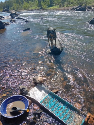 Customer photo review of 1088 Gold Rat sluice - with Mini cell Dream mat