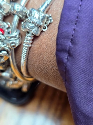 Customer photo review of Pandora Moments Bracelets